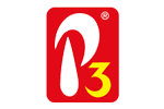 P3 P3